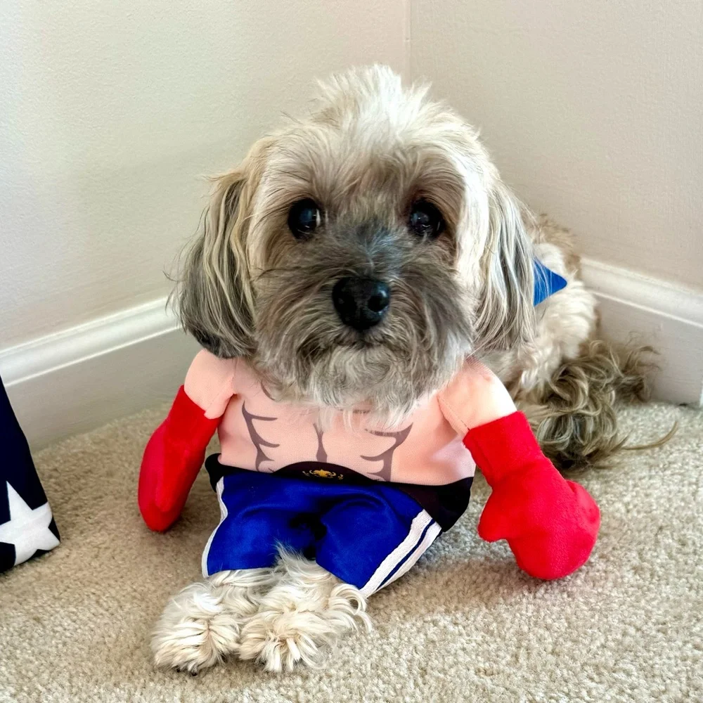 Dog Halloween Costume Rocky Boxer 3D Boxing Gloves for Small Dogs